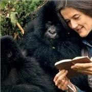 Laureata Magistrale in Lingue e aniere e in Psicologia Clinica offre lezioni/sostegno a studenti di varie età